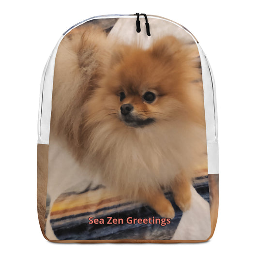 Poofy Minimalist Backpack