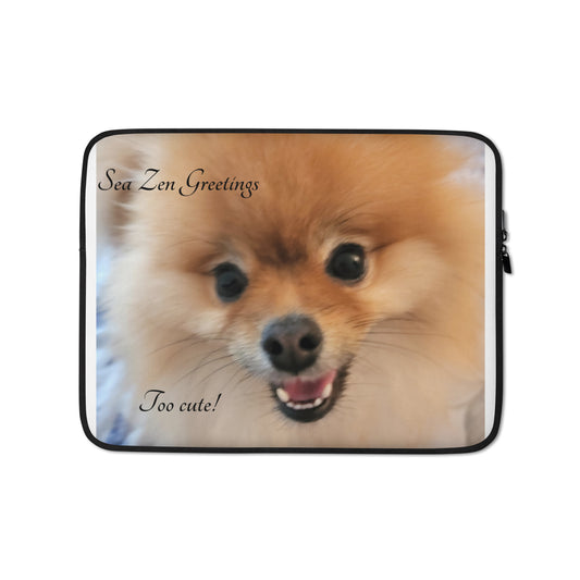 Poofy Laptop Sleeve #3