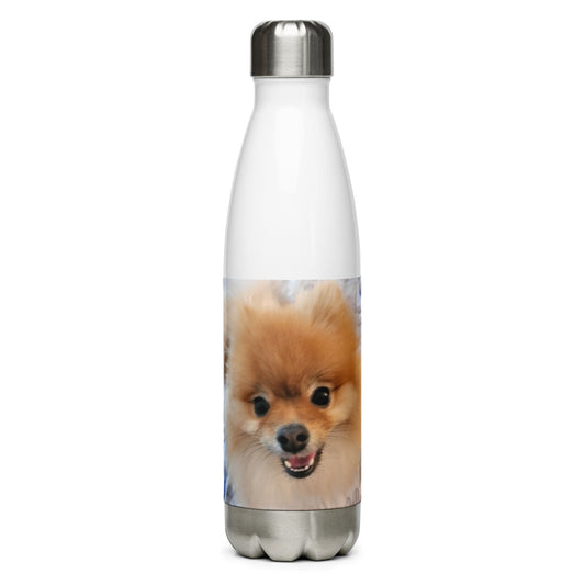 Poofy Stainless Steel Water Bottle