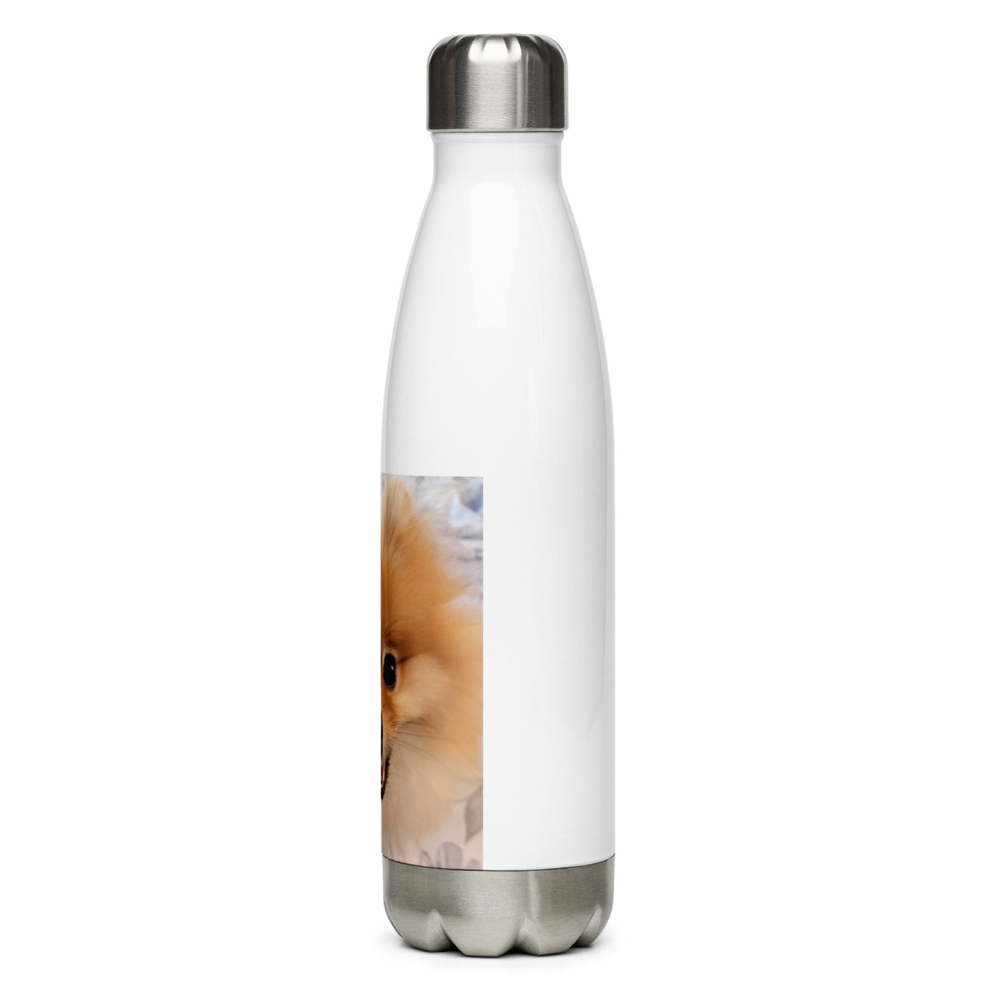 Poofy Stainless Steel Water Bottle