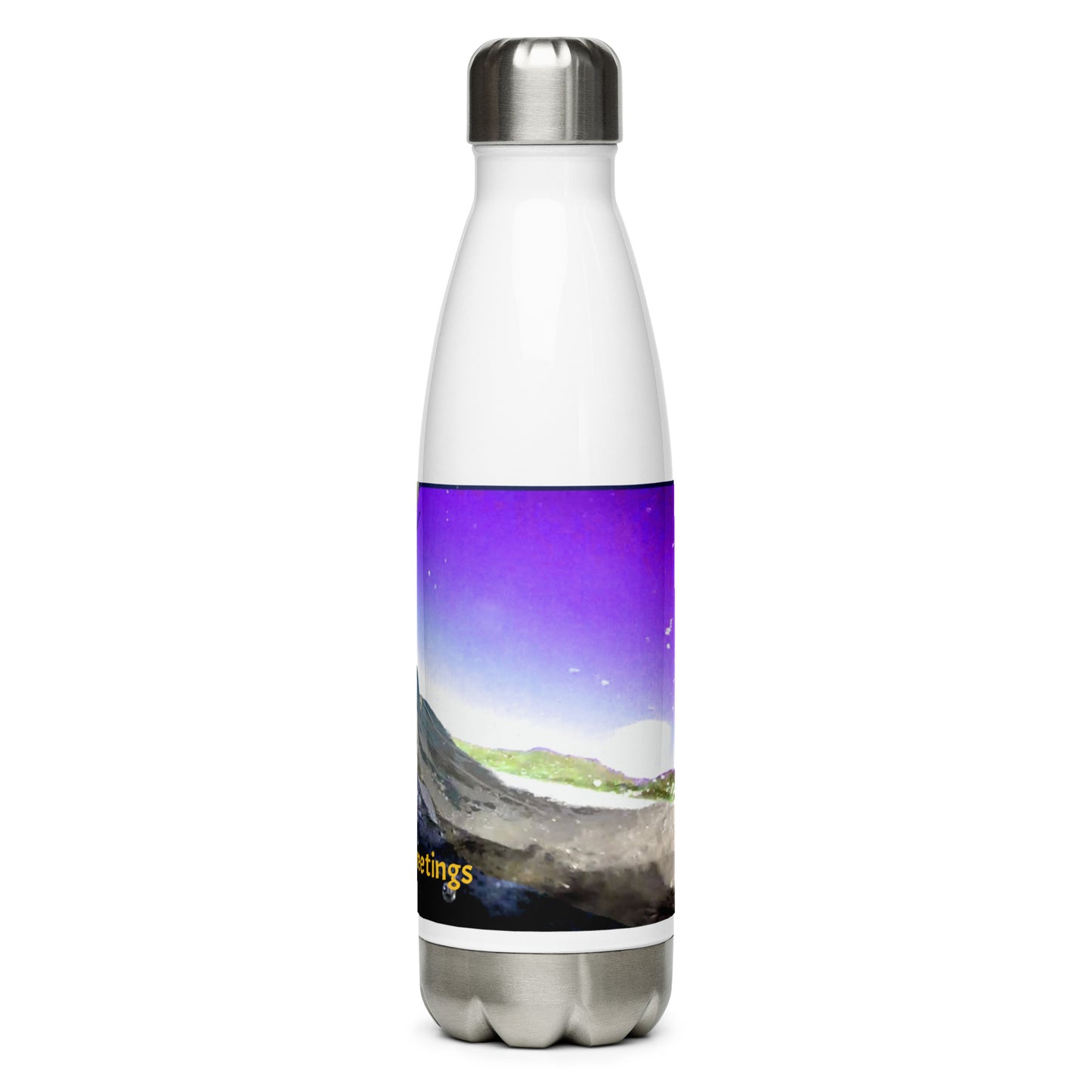 Purple Wave Stainless Steel Water Bottle