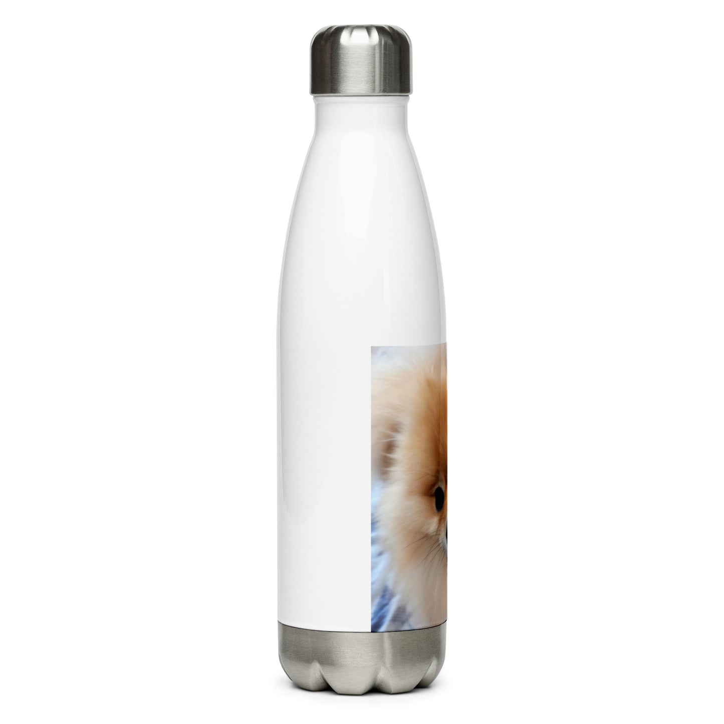 Poofy Stainless Steel Water Bottle