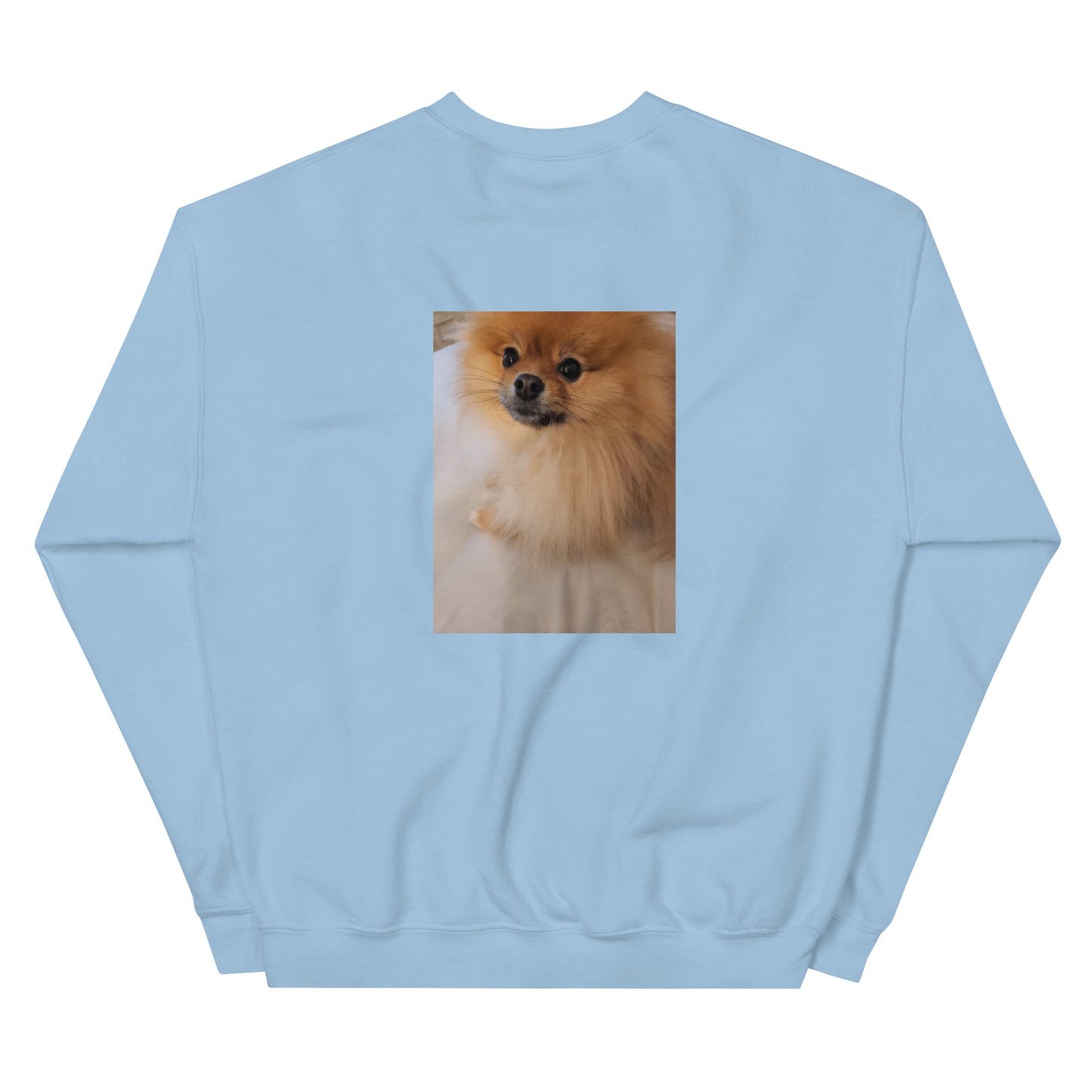 Poofy Unisex Sweatshirt