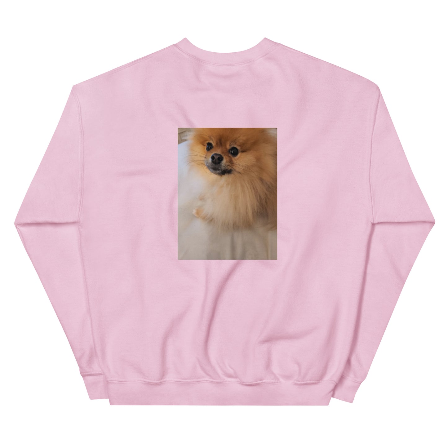 Poofy Unisex Sweatshirt