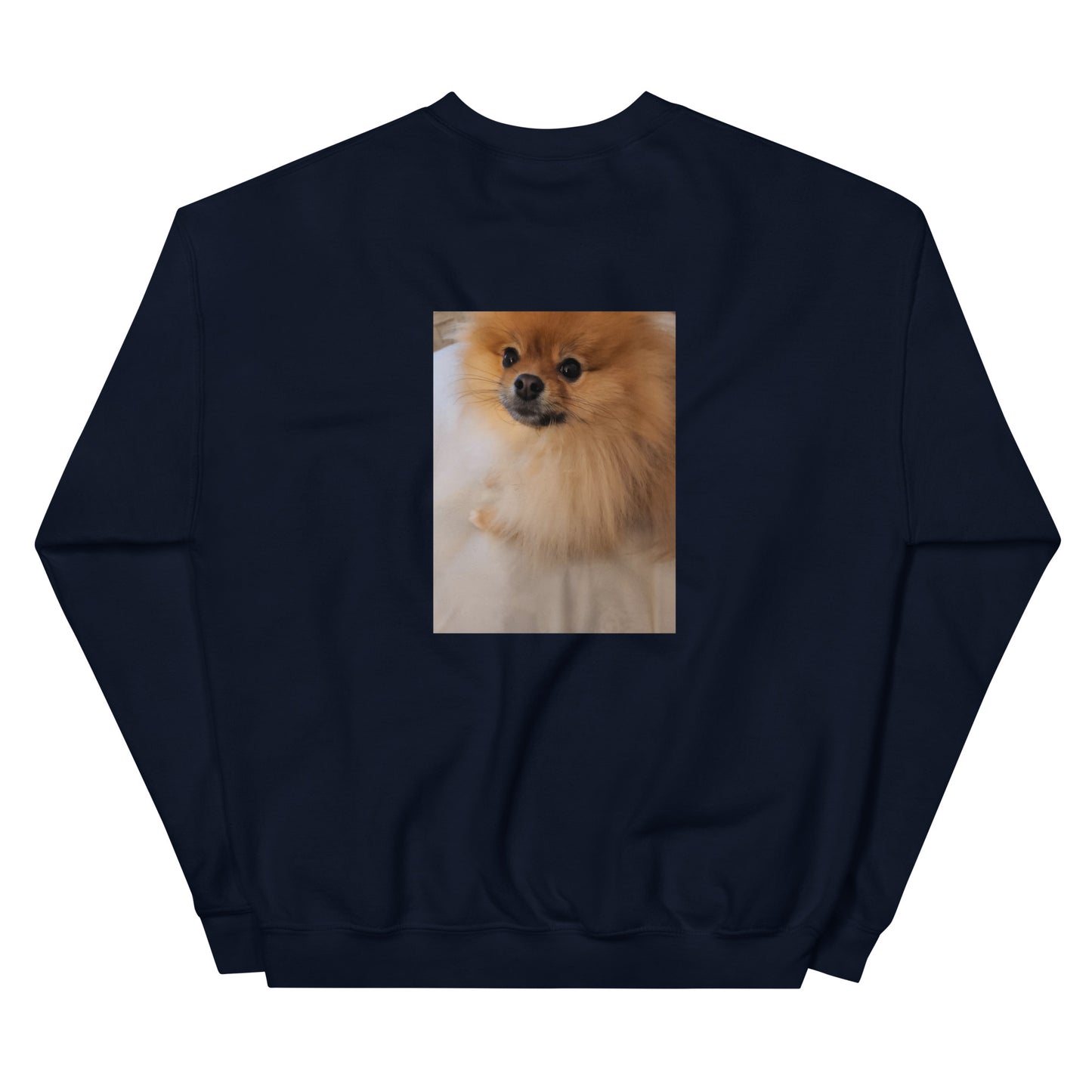 Poofy Unisex Sweatshirt