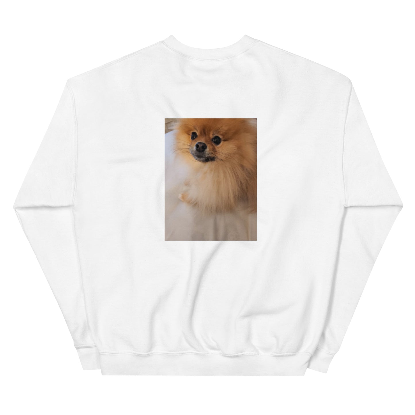 Poofy Unisex Sweatshirt